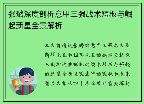 张璐深度剖析意甲三强战术短板与崛起新星全景解析