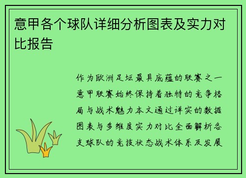 意甲各个球队详细分析图表及实力对比报告